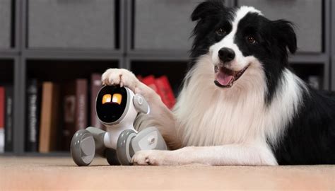 lara-kein|Beelzebub's New Service Dog Loona .